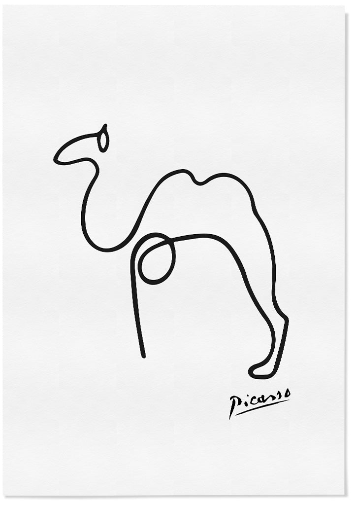 Pablo Picasso Line Drawing - Camel