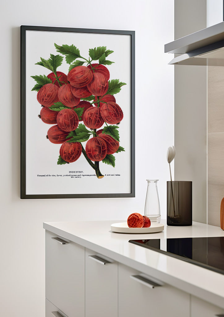 Kitchen Poster - Gooseberry