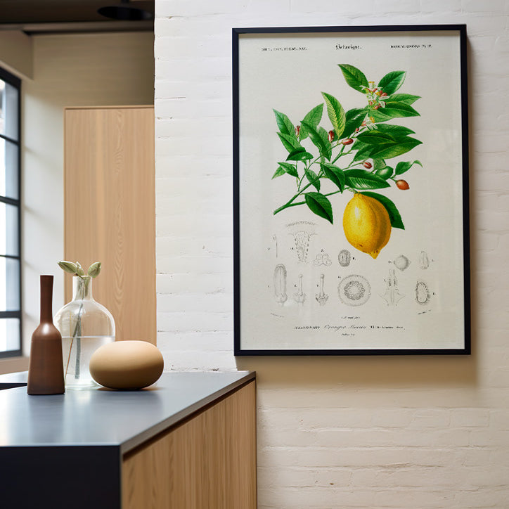 Lemon Poster - Ideal for Kitchen