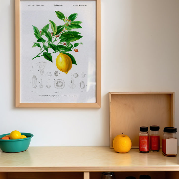 Lemon Poster - Ideal for Kitchen