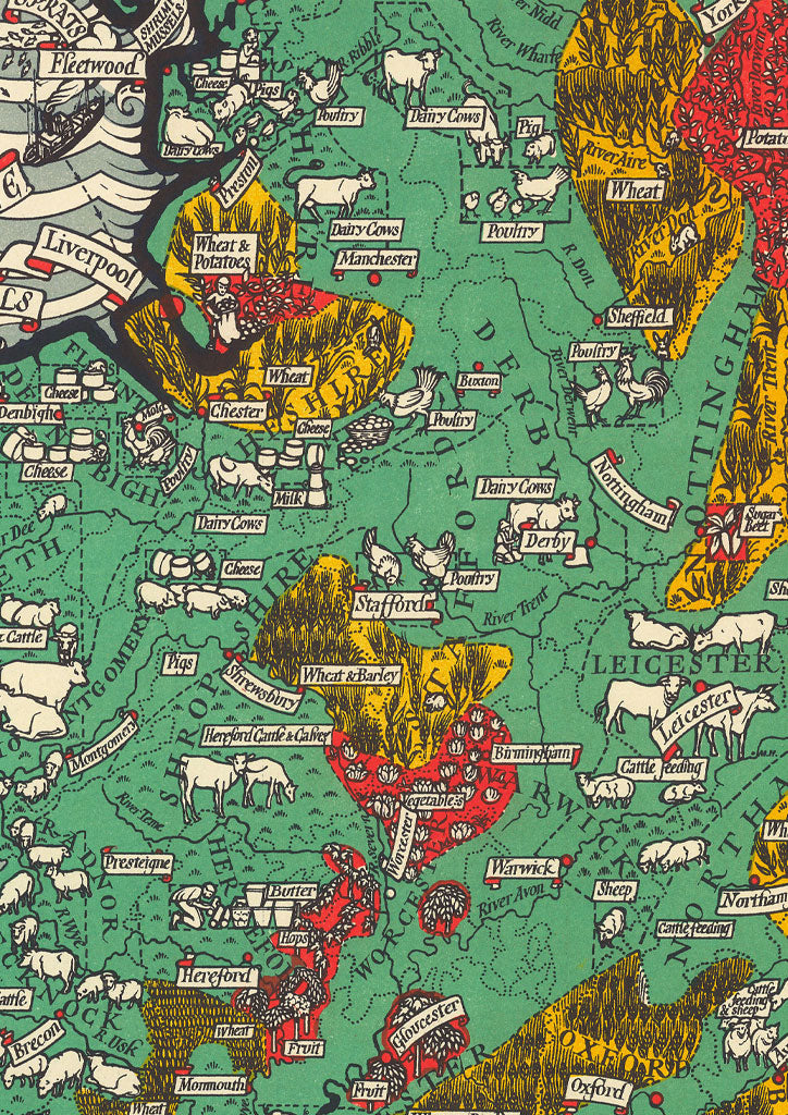England 'The Crops & Live Stock' Map