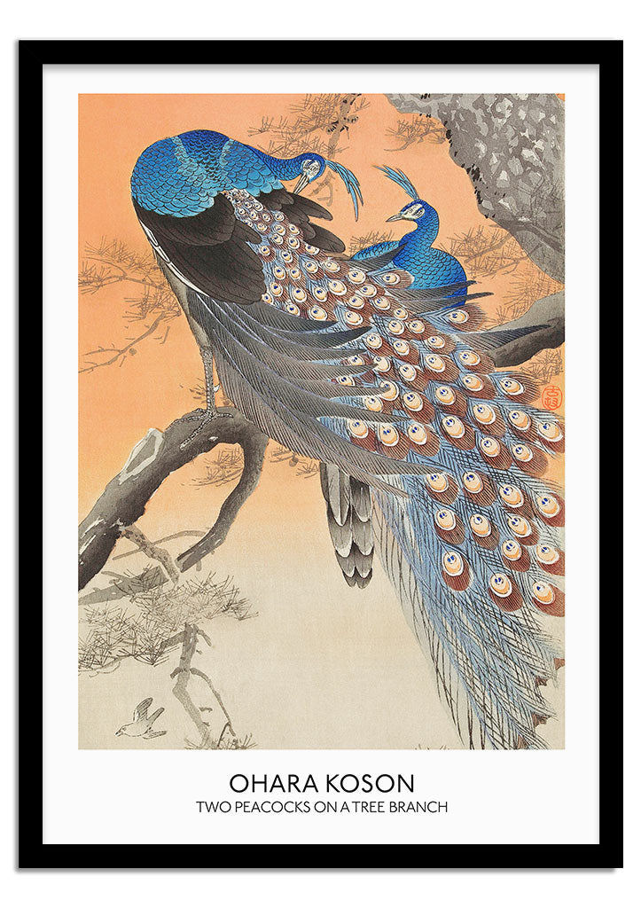 Two Peacocks on a Tree Branch by Ohara Koson