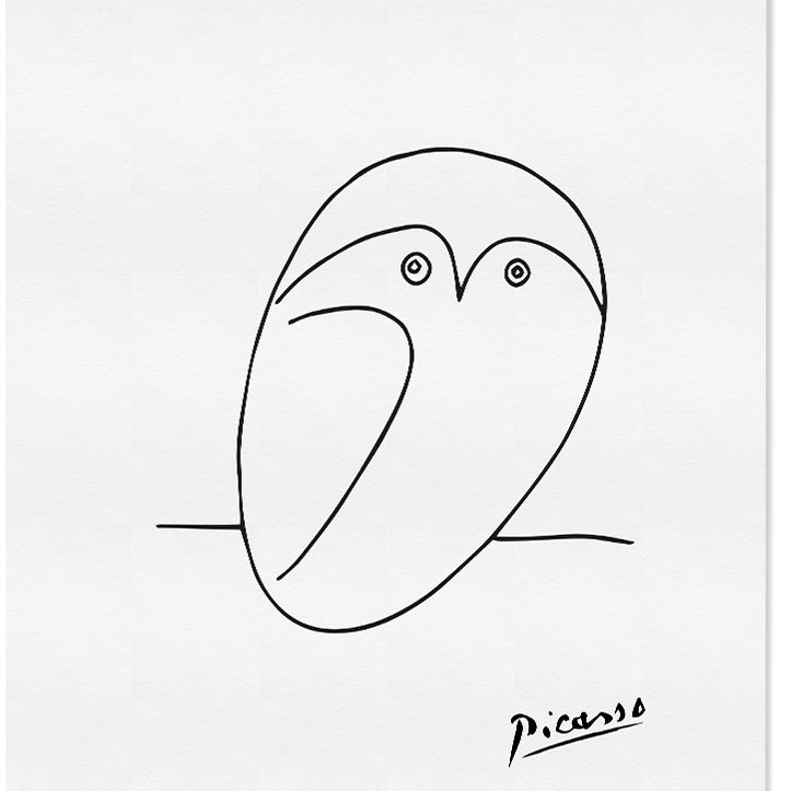 Picasso Line Drawing - Owl
